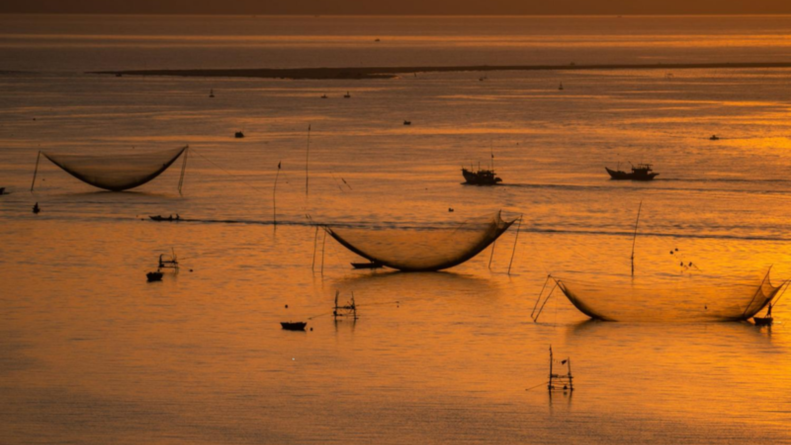 Thả Rớ Chồ – Traditional Net Fishing on the Hoi An River (1)